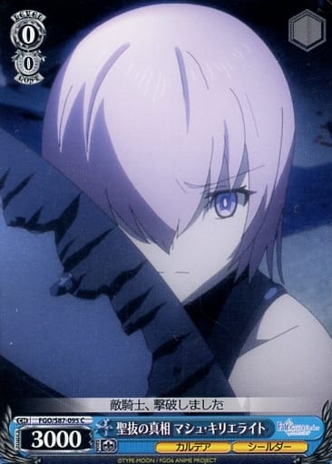 [C] FGO/S87-095 聖抜の真相 マシュ・キリエライト