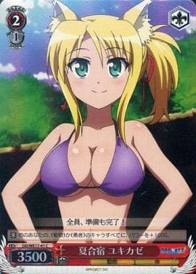 [C] DD/WE17-41 夏合宿 ユキカゼ(ホロ)