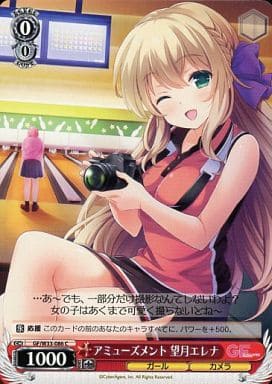 [C] GF/W33-086 アミューズメント 望月エレナ