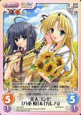 [U] NV-036 美人コンビ「八重桜」＆「カレハ」