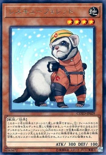 [R] COTD-JP029 レスキューフェレット