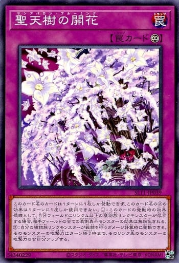 [N] SLT1-JP039 聖天樹の開花