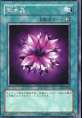 [N] DL2-023 紫水晶