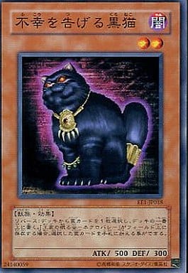 [N] EE1-JP018 不幸を告げる黒猫