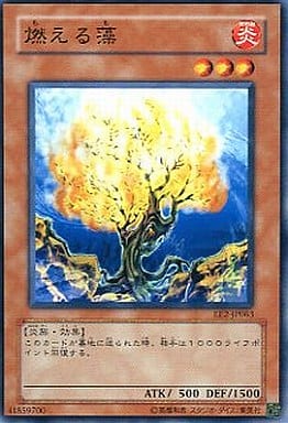 [N] EE2-JP063 燃える藻