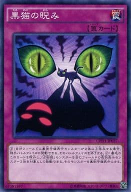 [N] CPD1-JP037 黒猫の睨み