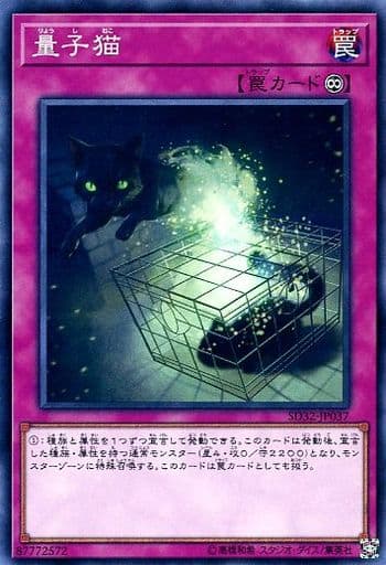 [N] SD32-JP037 量子猫