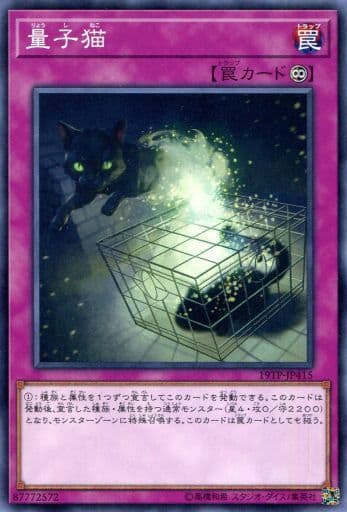 [N] 19TP-JP415 量子猫