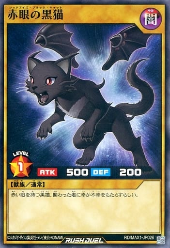 [N] RD/MAX1-JP026 赤眼の黒猫