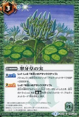 [C] BS25-066 翠牙草の実