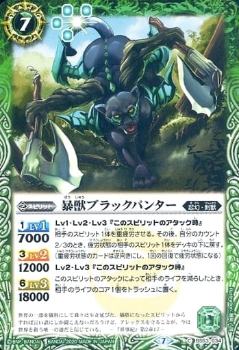 [C] BS53-034 暴獣ブラックパンター