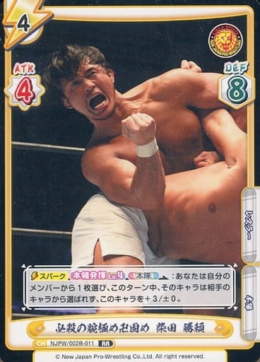 [RR] NJPW/002B-011 必殺の腕極め卍固め 柴田 勝頼