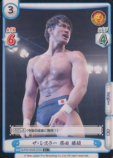 [C+] NJPW/002B-012S ザ・レスラー 柴田 勝頼